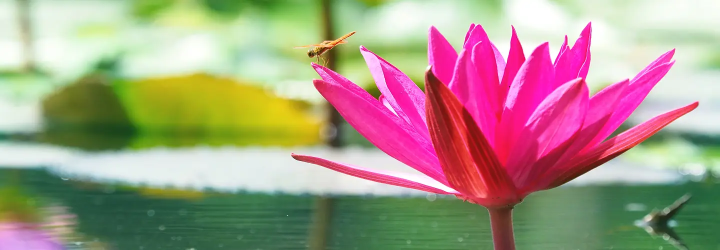 Лечение без таблеток — миф или реальность