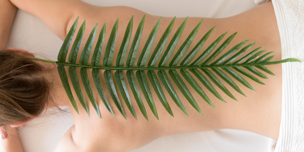 top-view-leaf-woman-back 1.png